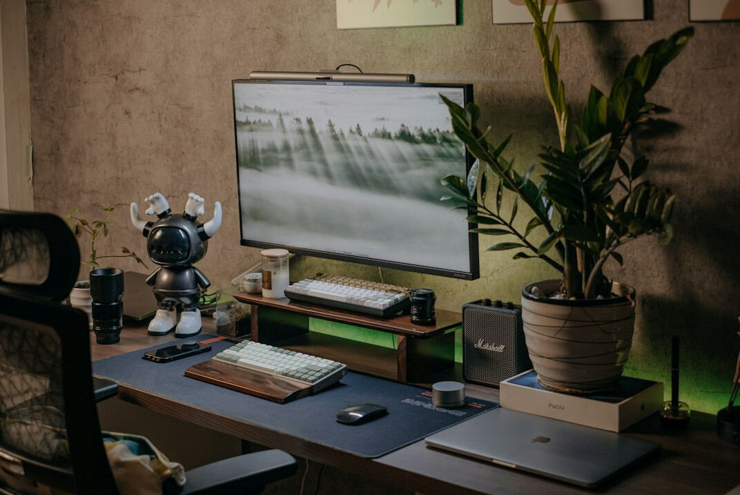 Laptop on a wooden desk showing a data analytics dashboard next to a small plant